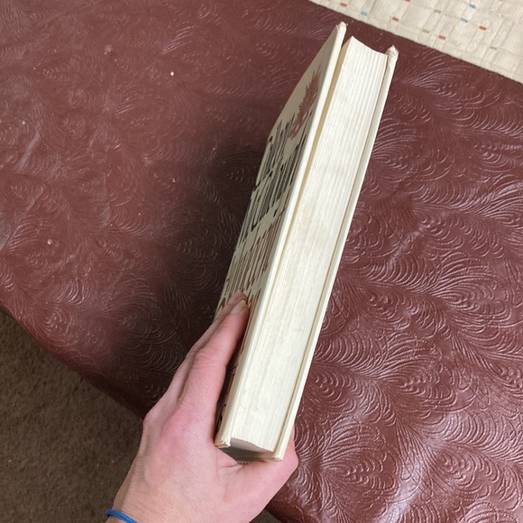 An indecent obsession” - Picture 9 of 14